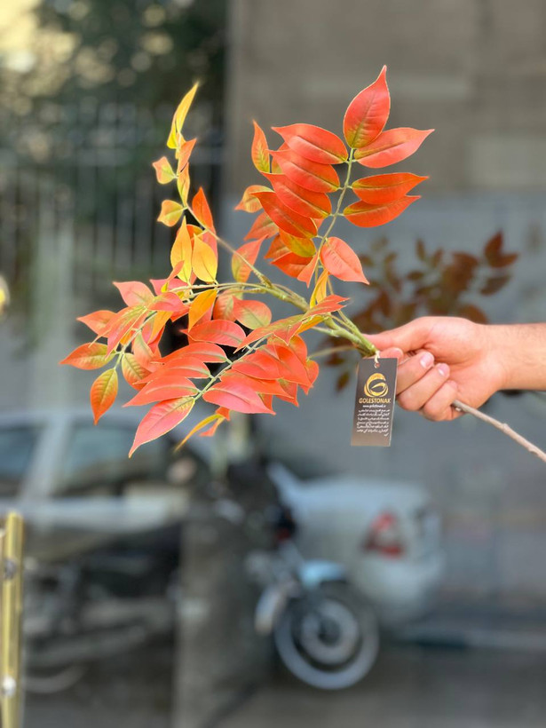 بوته اقاقیا مصنوعی وارداتی ۹بازو ۷۵سانتی