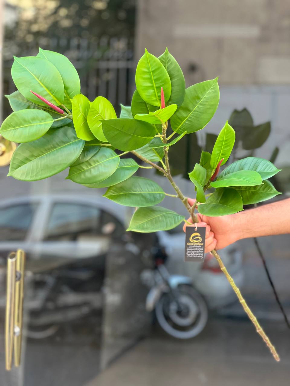 شاخه فیکوس مصنوعی وارداتی ۳بازو یک متری