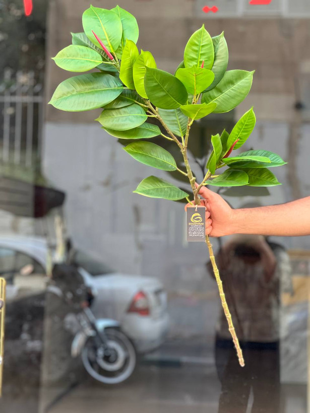 شاخه فیکوس مصنوعی وارداتی ۳بازو یک متری
