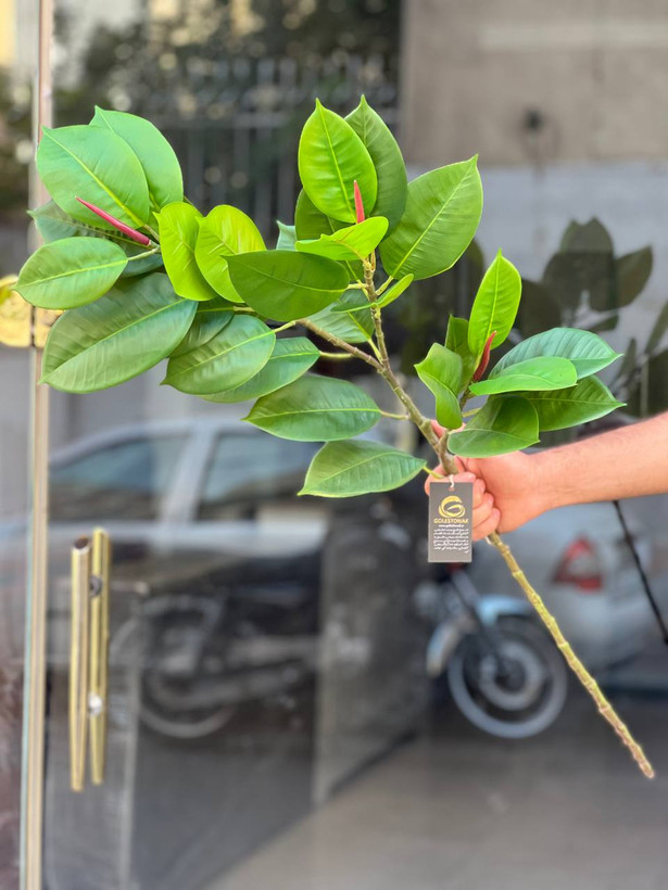 شاخه فیکوس مصنوعی وارداتی ۳بازو یک متری