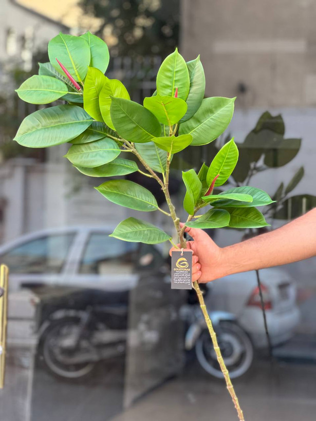 شاخه فیکوس مصنوعی وارداتی ۳بازو یک متری
