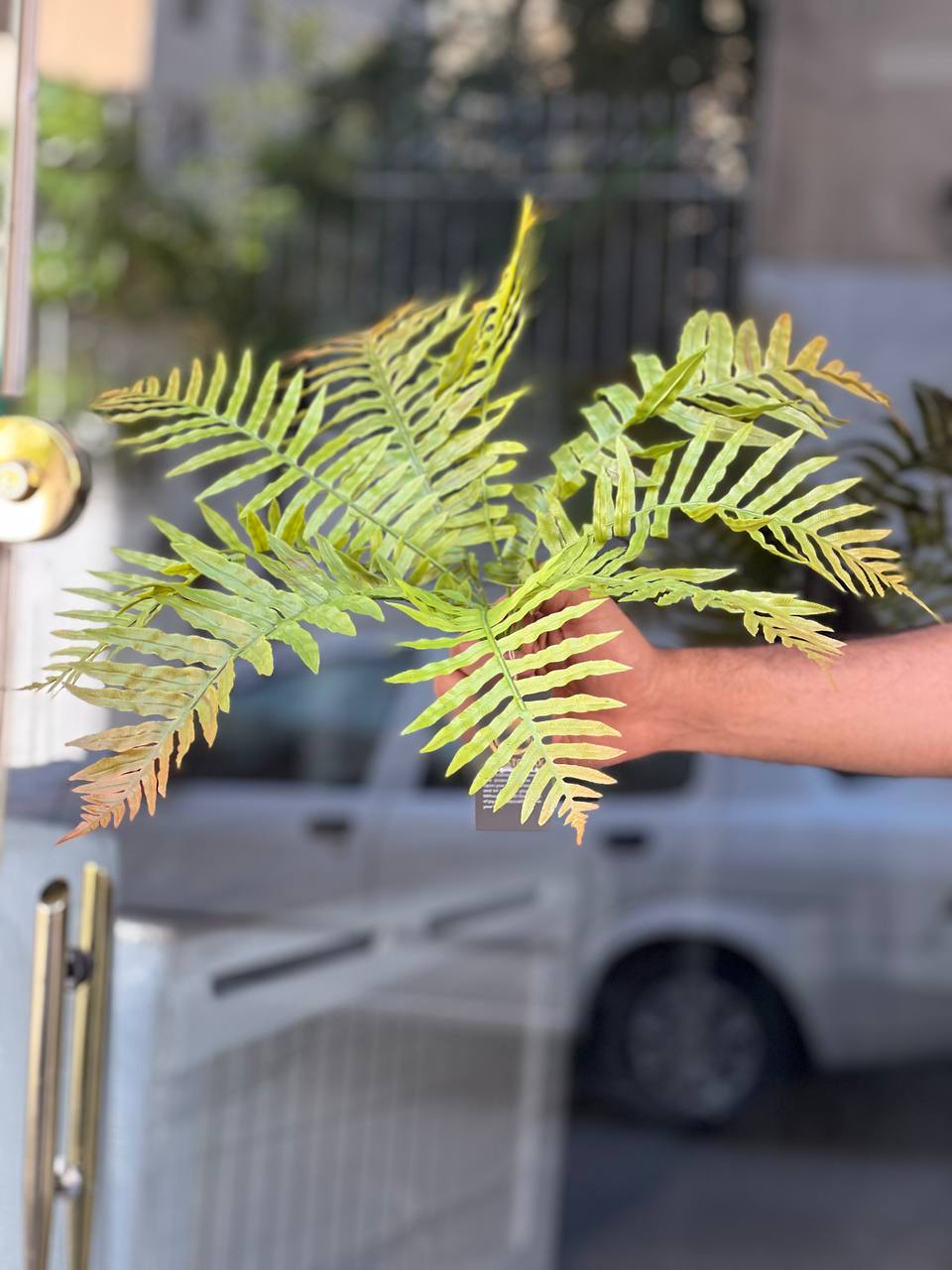 بوته سرخس مصنوعی ۹بازو وارداتی دورنگ