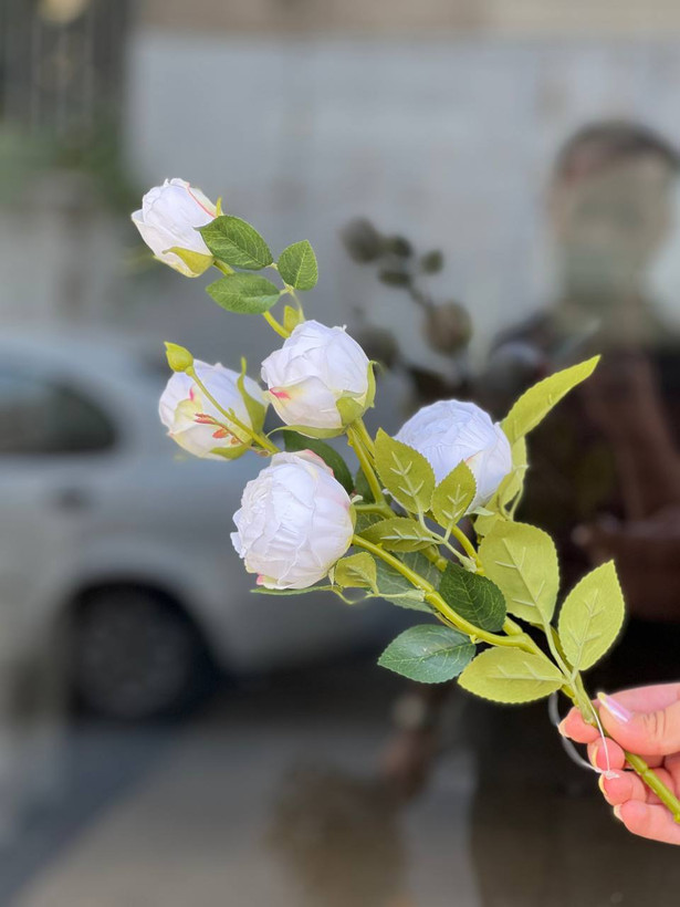 شاخه پیونی مدل چروک مصنوعی وارداتی رنگ سفید کیفیت درجه۱