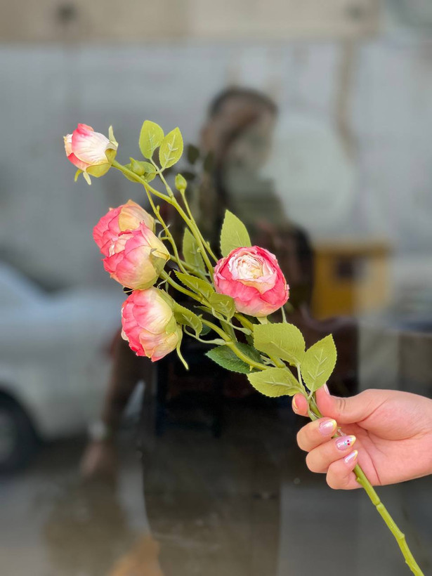 شاخه پیونی مدل چروک مصنوعی وارداتی رنگ لبه صورتی کیفیت درجه۱