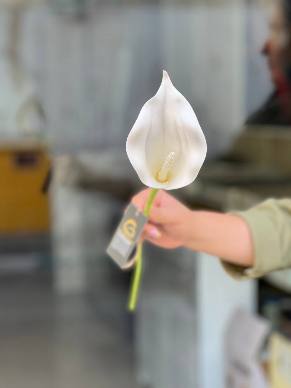 شاخه شیپوری بلند فومی وارداتی بدون تغییر رنگ ۱عددی