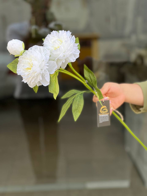 شاخه پیونی ۲گل و یک غنچه مصنوعی وارداتی رنگ سفید