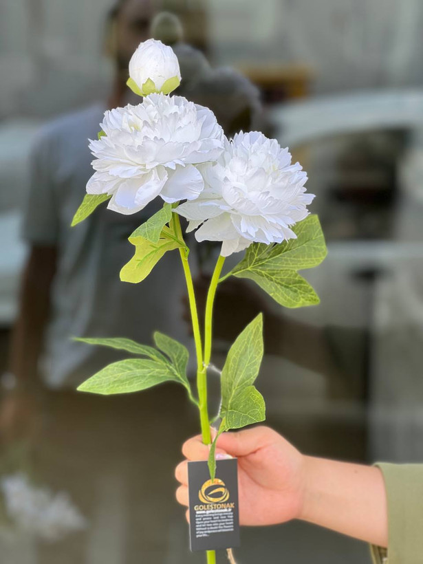 شاخه پیونی ۲گل و یک غنچه مصنوعی وارداتی رنگ سفید