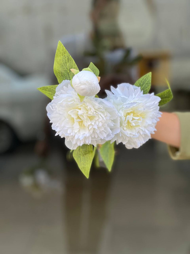 شاخه پیونی ۲گل و یک غنچه مصنوعی وارداتی رنگ سفید
