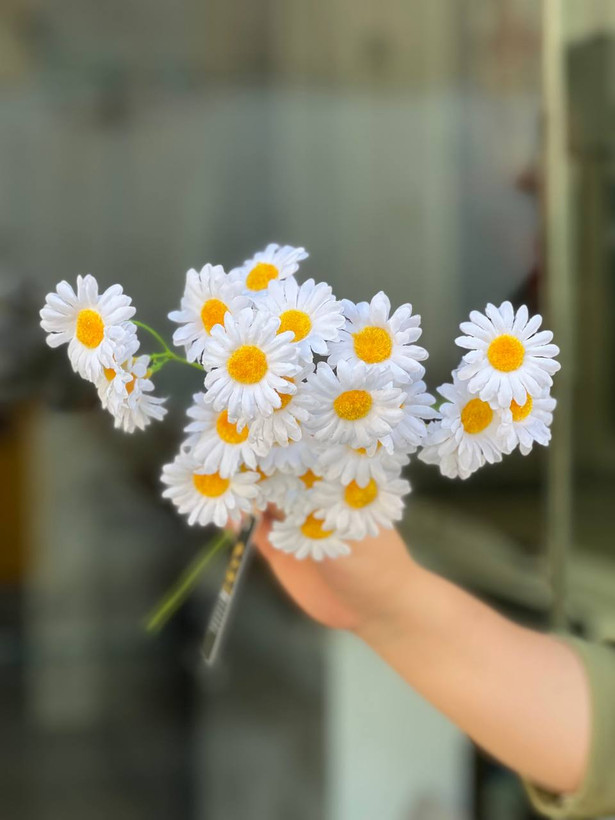 شاخه بابونه تخمک زرد وارداتی 9 بازو۲۷گل