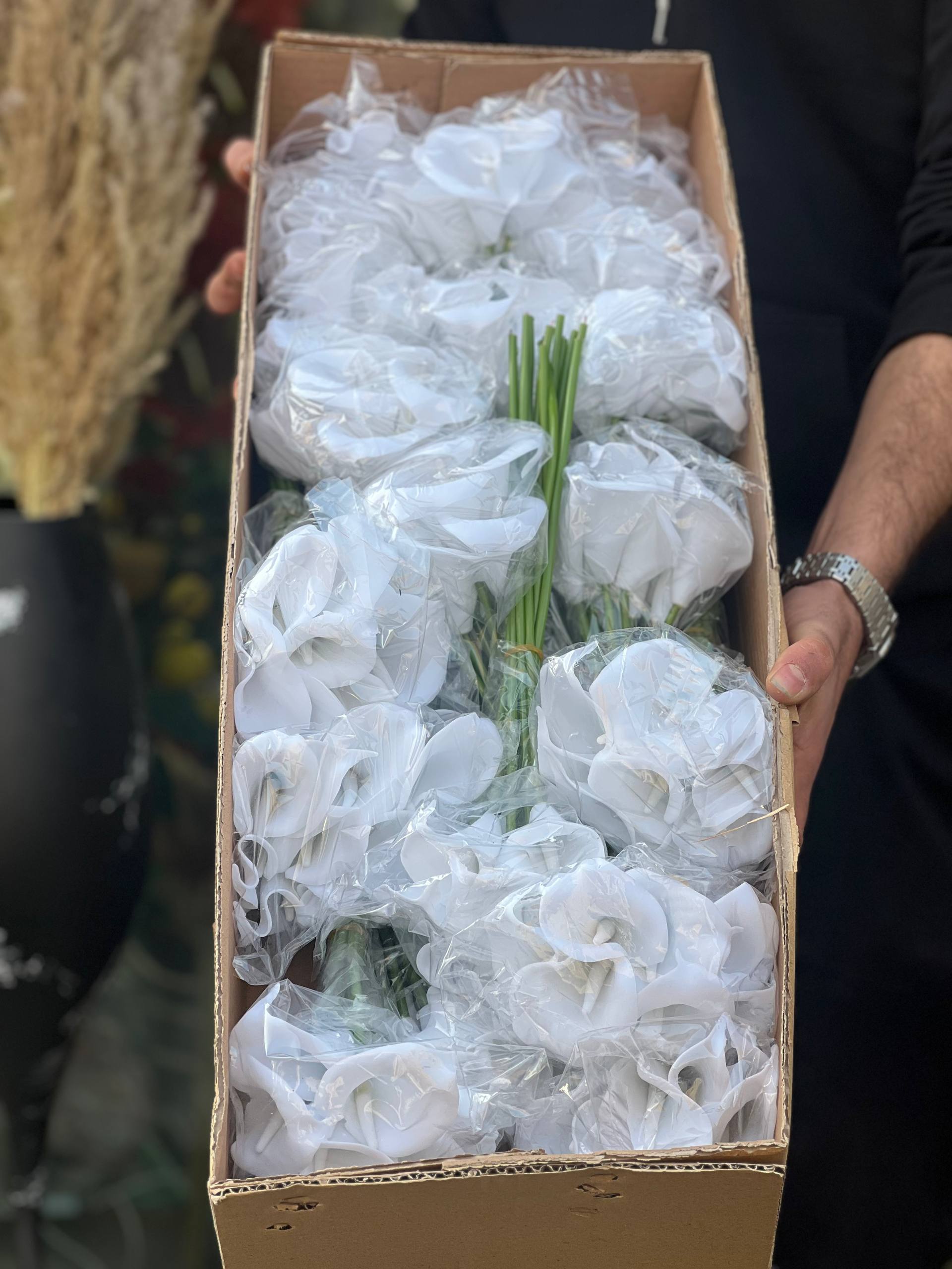 شیپوری ایرانی کارتنی(عمده) 30بسته 360عددی