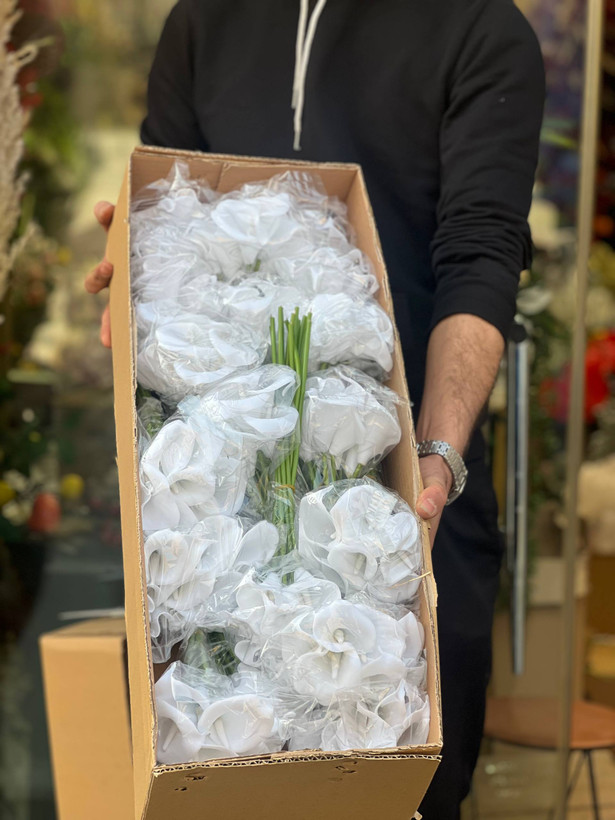 شیپوری ایرانی کارتنی(عمده) 30بسته 360عددی