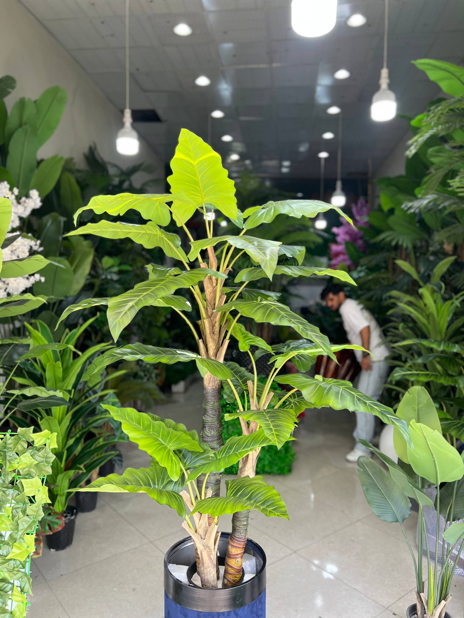 درختچه مصنوعی بابا ادم سه تنه وارداتی ۱۸۰سانتی