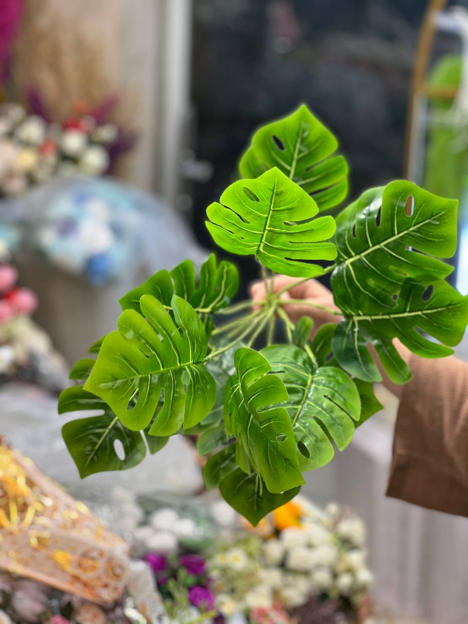 بوته برگ انجیری