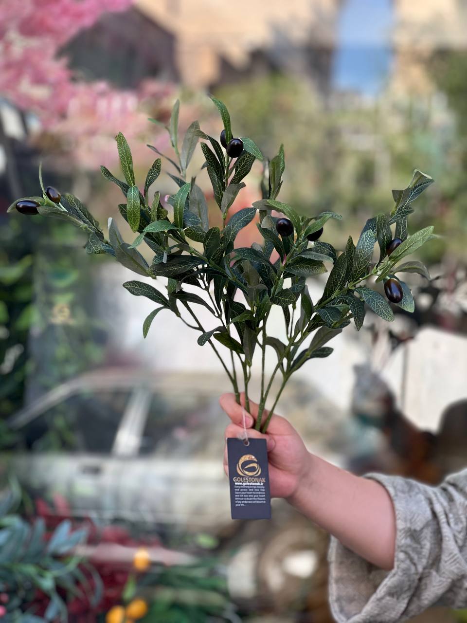 بوته زیتون مشکی مصنوعی وارداتی درجه1
