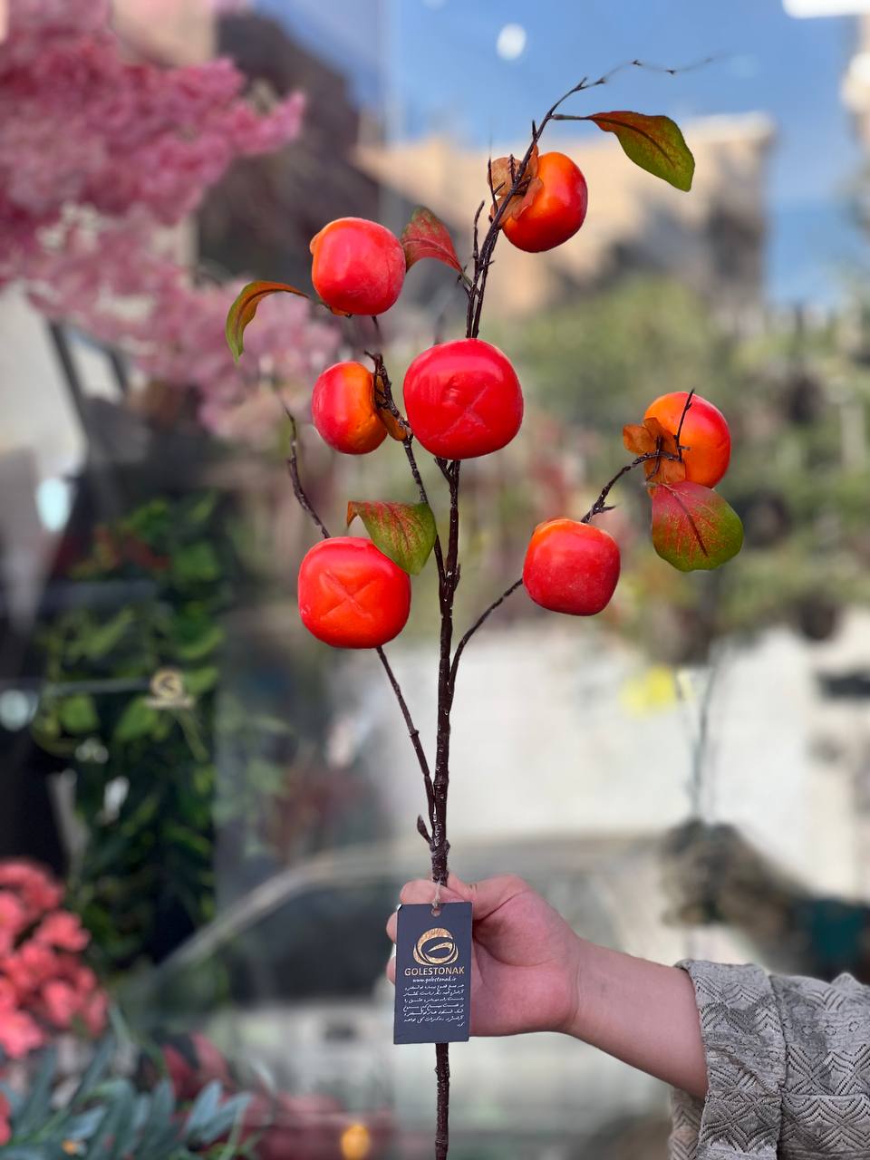 شاخه خرمالو وارداتی برگ دار۷میوه ارتفاع ۱متر