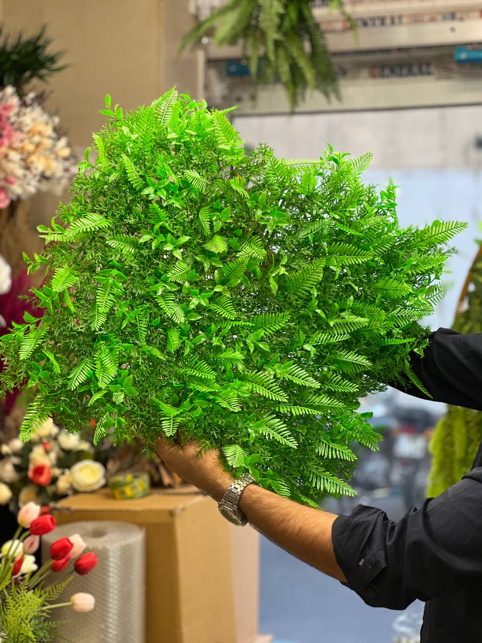 گرین وال مدل استوایی سبز وارداتی ۵۰ در ۵۰