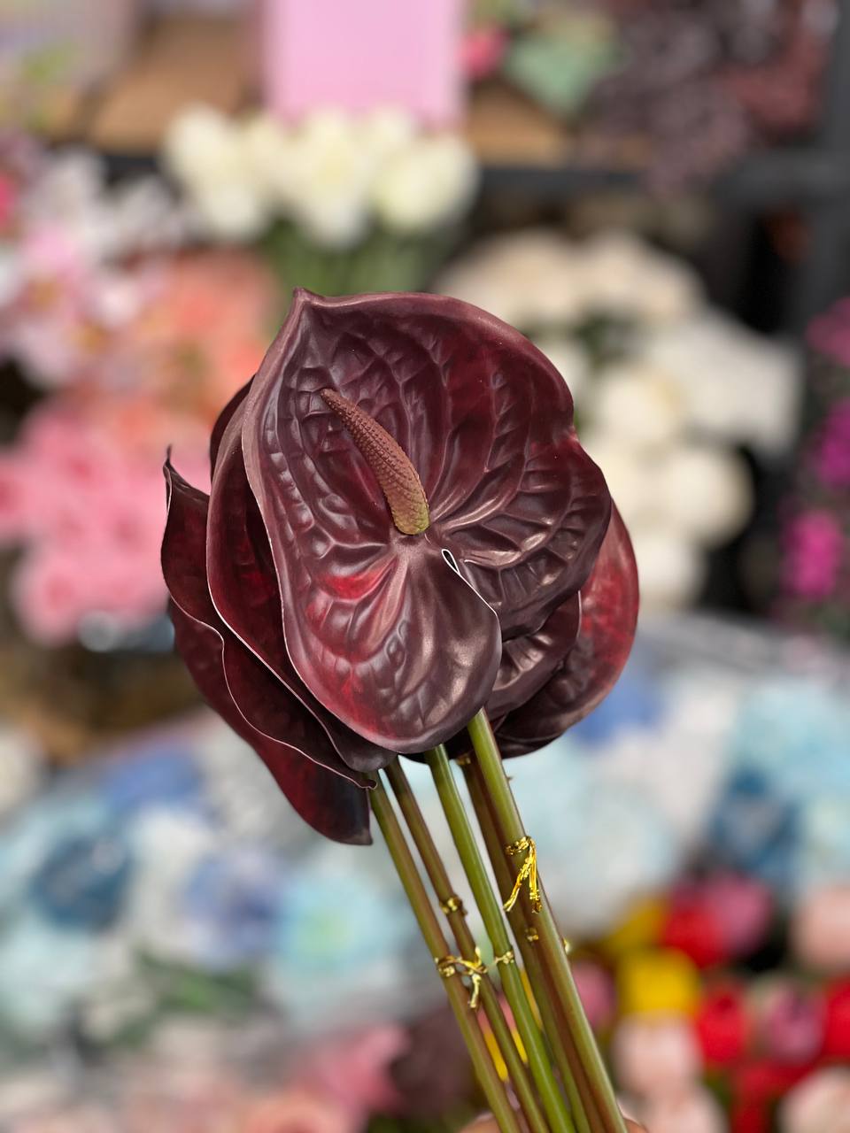 آنتوریوم(انتریوم) ژله ای 5عددی رنگ بژ