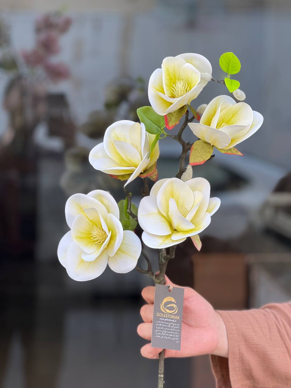 مگنولیا 5گل وارداتی درجه1 رنگ نباتی
