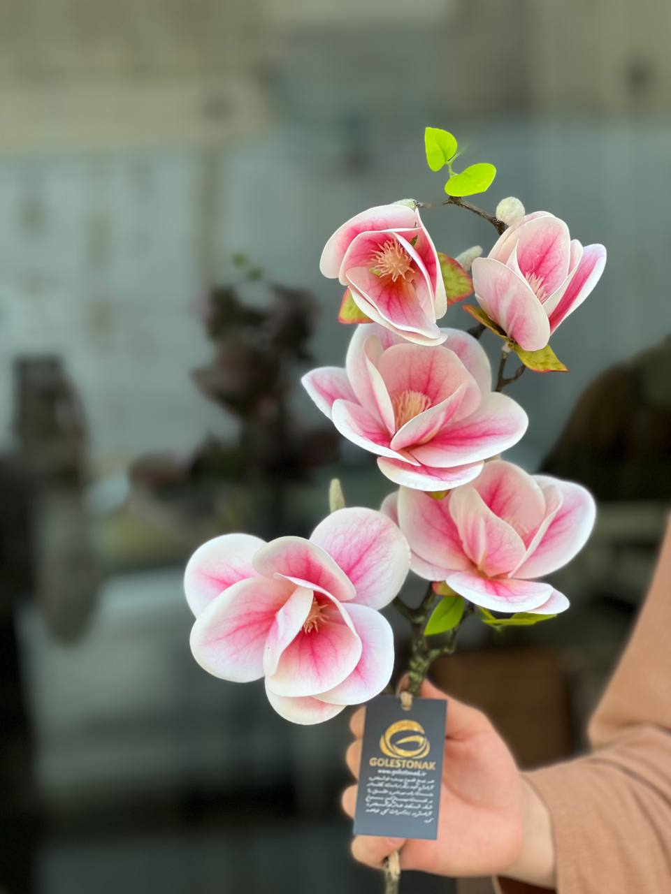 مگنولیا 5گل وارداتی درجه1 رنگ صورتی