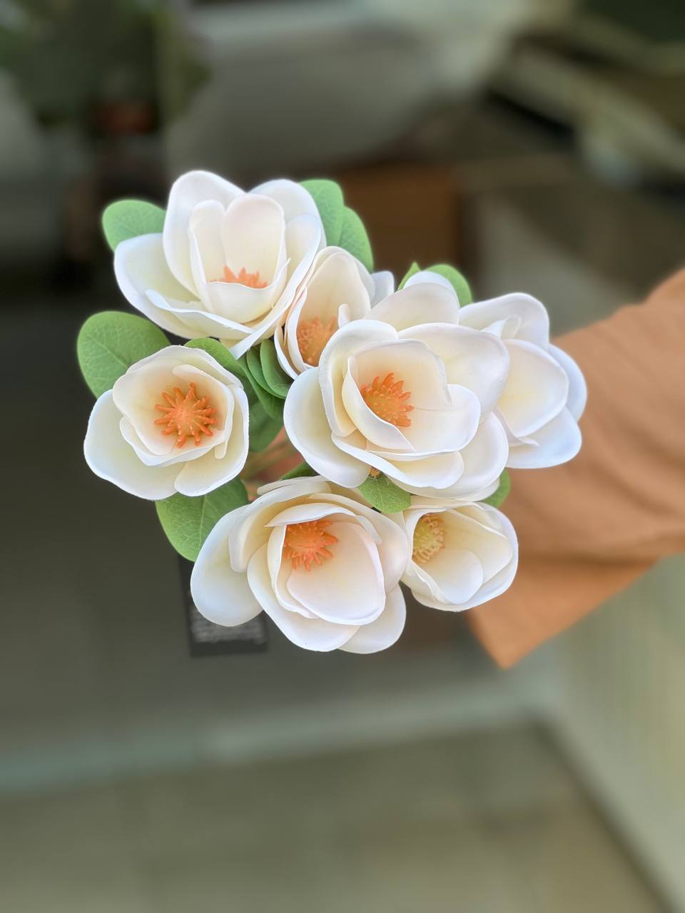 بوته مگنولیا وارداتی درجه1 رنگ سفید