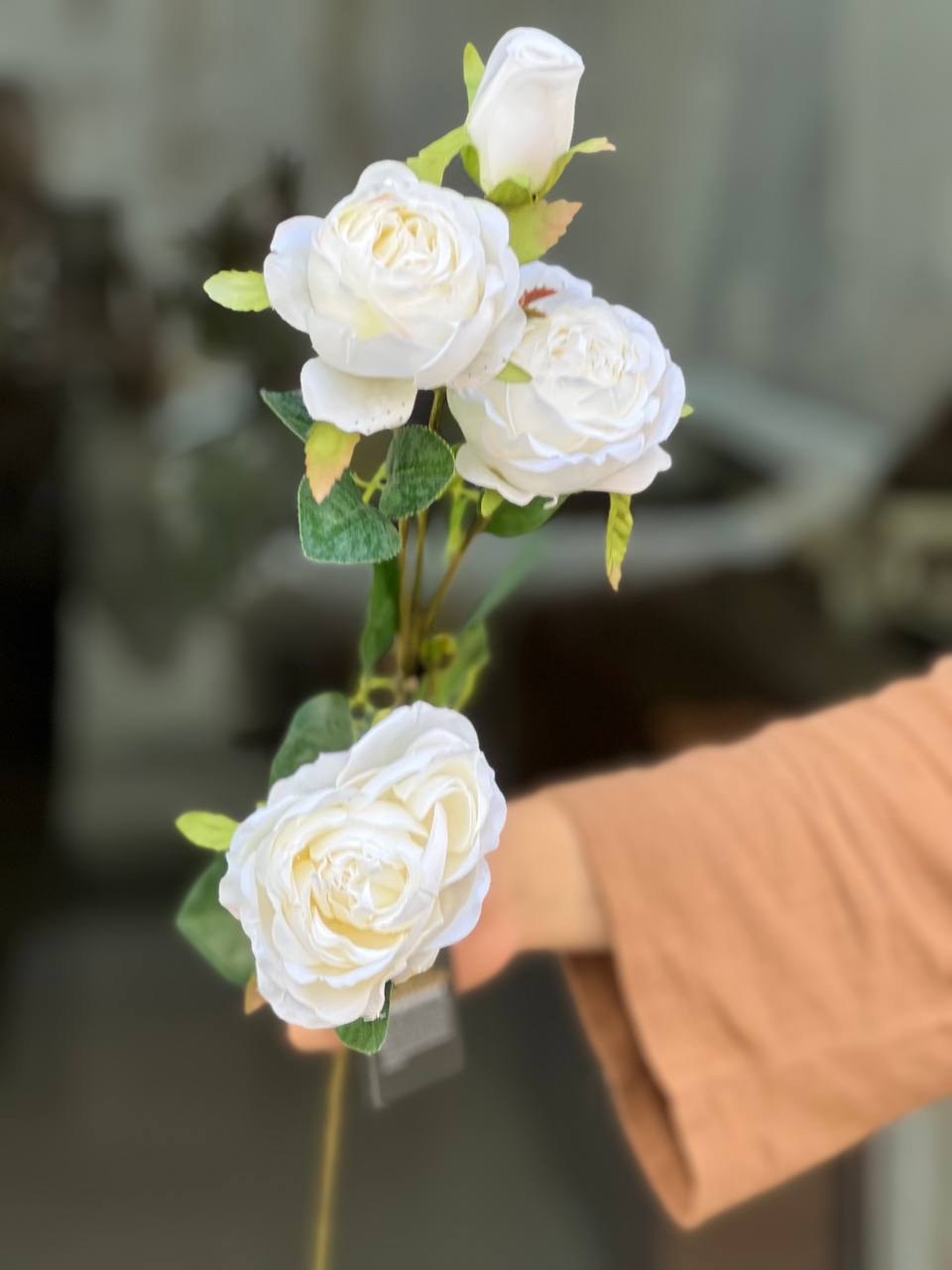 شاخه رز ژولیت وارداتی 3گل و یک غنچه رنگ سفید