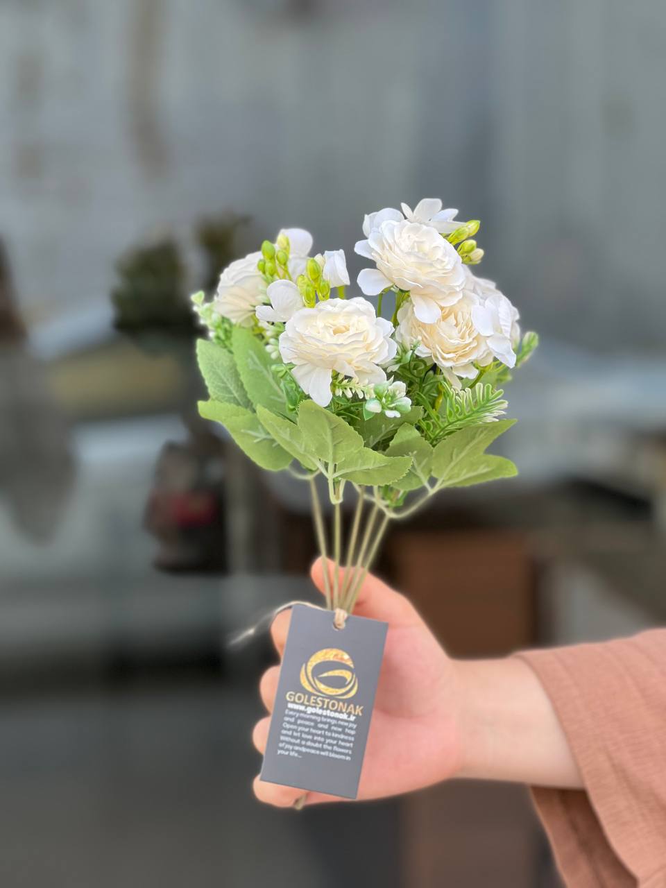 بوته کوکب سفید وارداتی