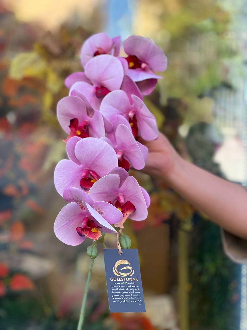 ارکیده لمسی وارداتی رنگ صورتی بنفش9گل