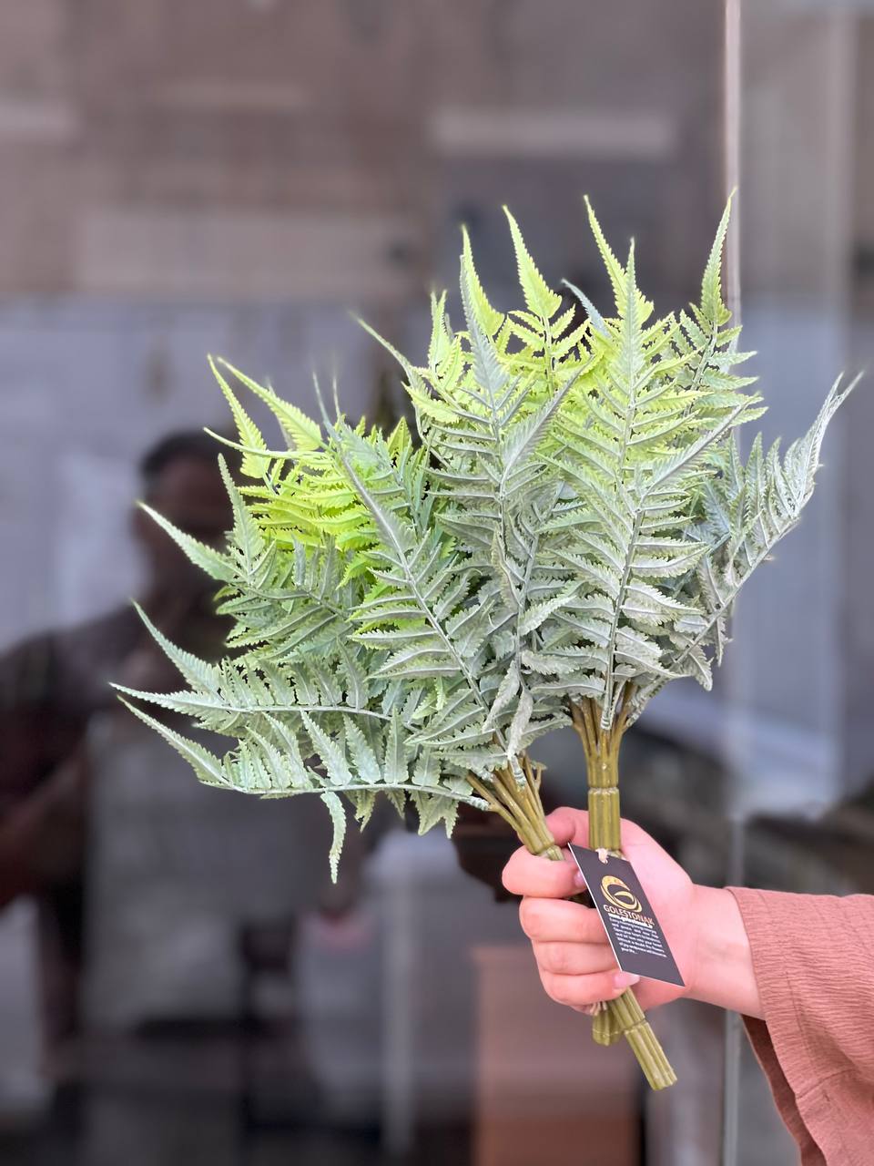 بوته سرخس سبز وارداتی (مخصوص باکس)