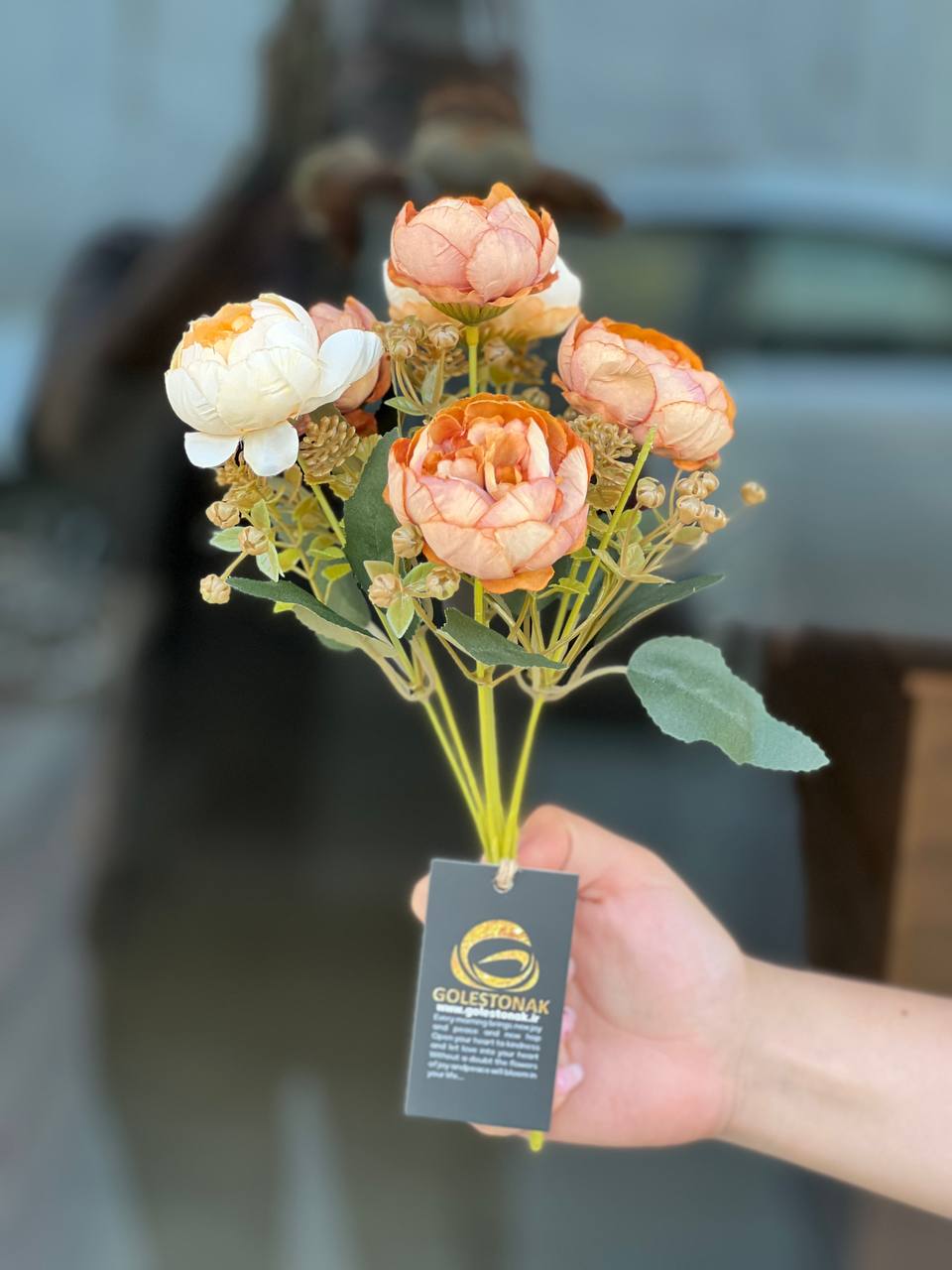 بوته پیونی وارداتی ۶گل رنگ خاص