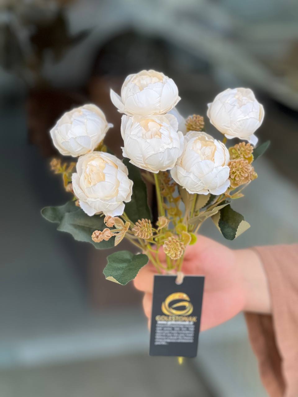 بوته پیونی وارداتی ۶گل رنگ سفید