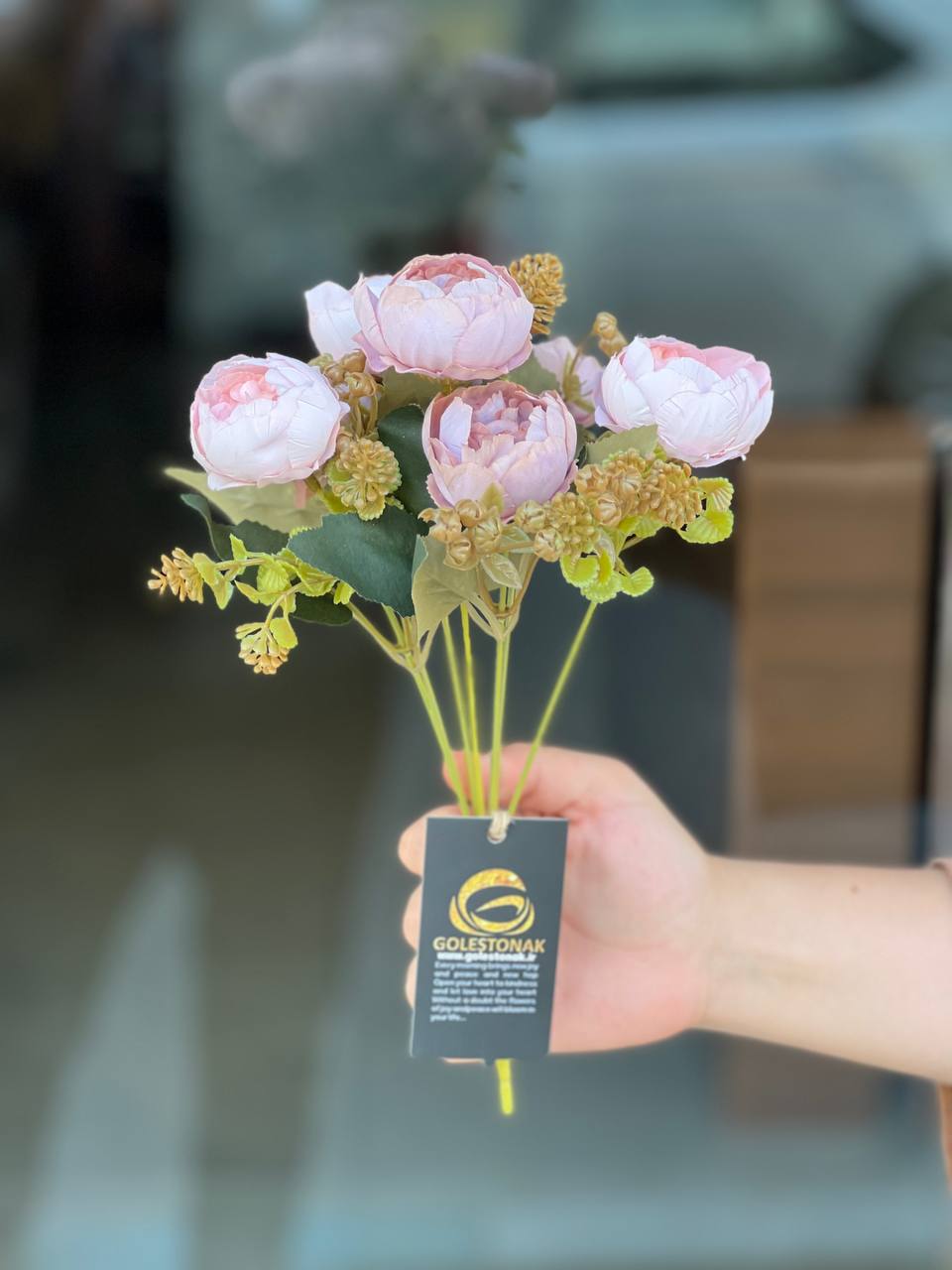 بوته پیونی وارداتی رنگ کالباسی