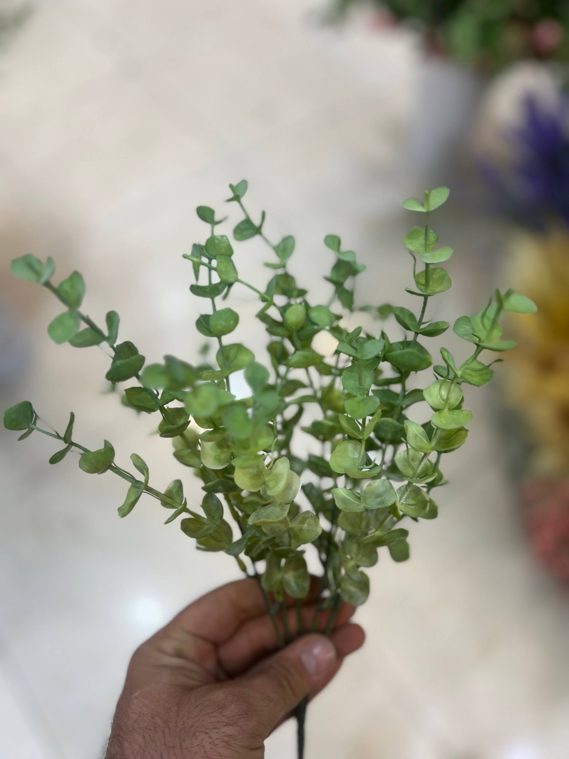 بوته اکالیپتوس مصنوعی وارداتی سبز