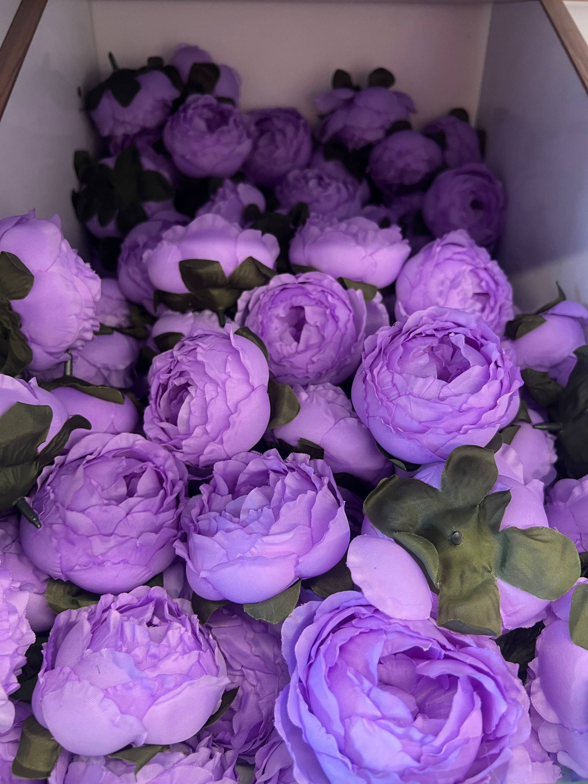 سرگل پیونی (پائونی) بزرگ رنگ بنفش 10عددی