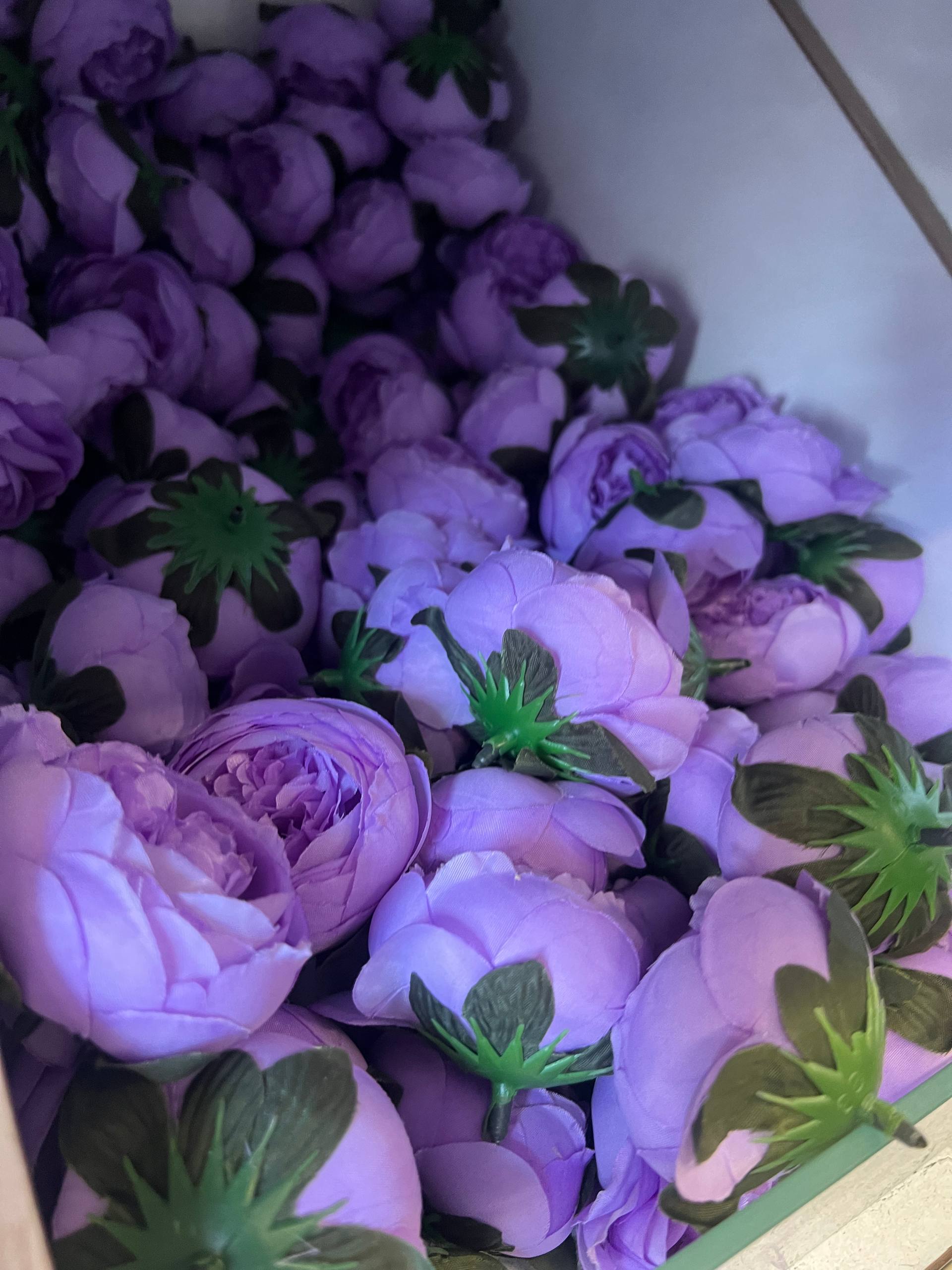سرگل پیونی متوسط رنگ بنفش ۱۰ عددی