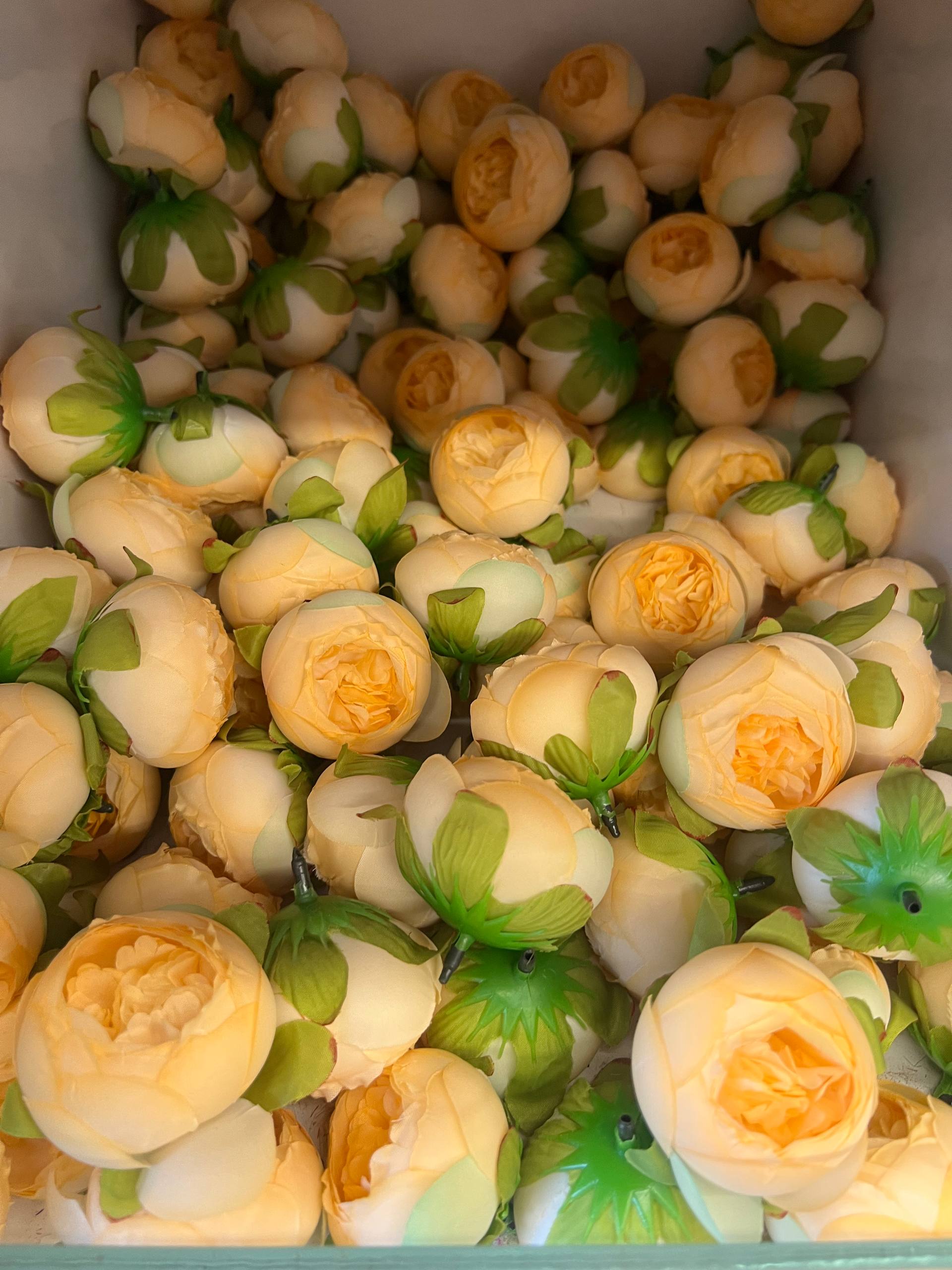 سرگل پیونی متوسط رنگ نارنجی ۱۰ عددی