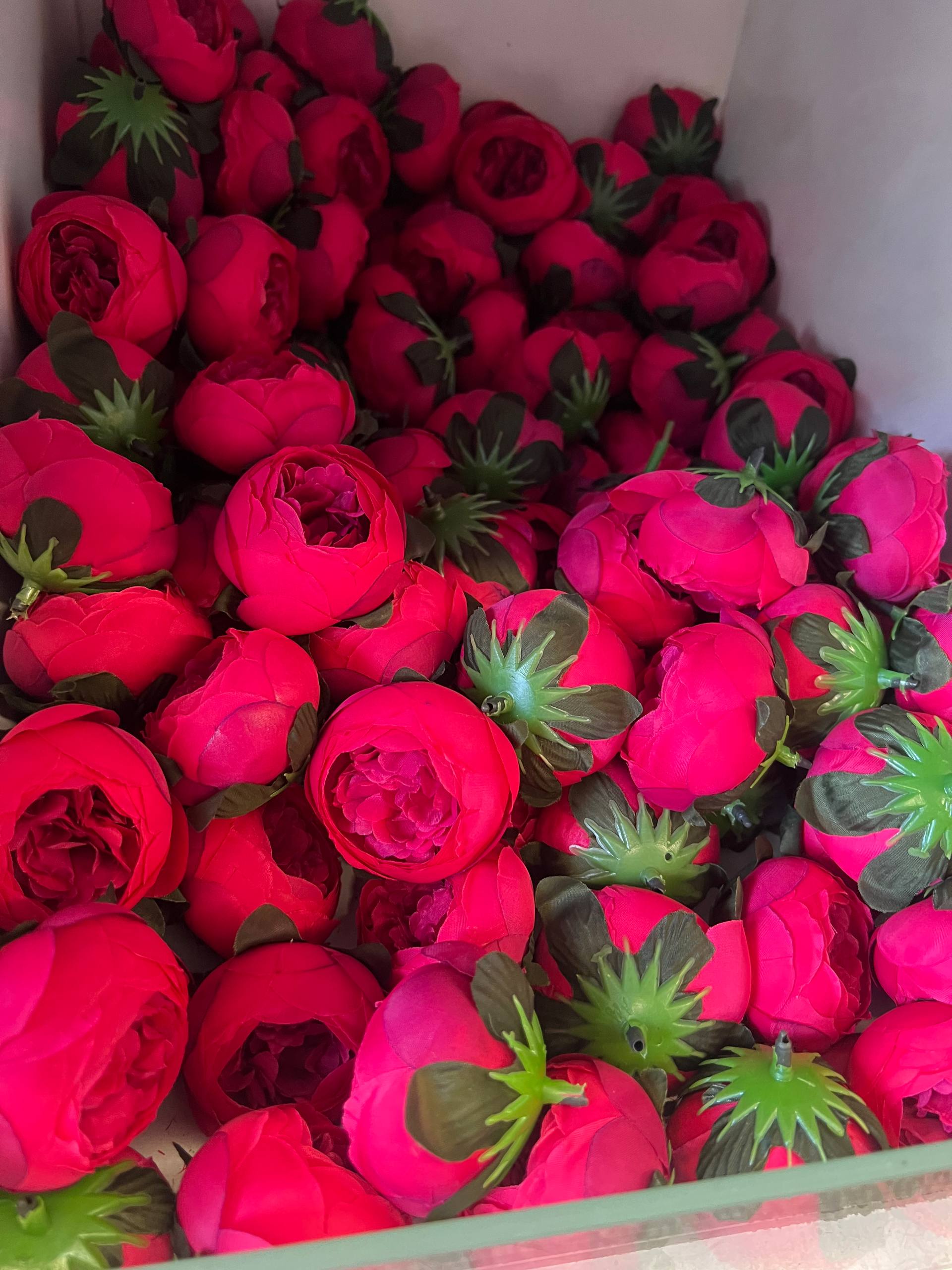 سرگل پیونی متوسط رنگ سرخ ابی۱۰ عددی