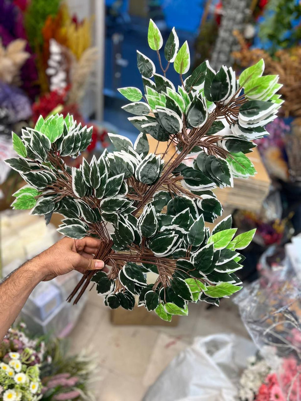 برگ بنجامین مصنوعی وارداتی رنگ ابلق جین۱۲تایی